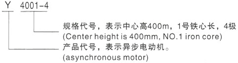 西安泰富西玛Y系列(H355-1000)高压竟陵街道三相异步电机型号说明